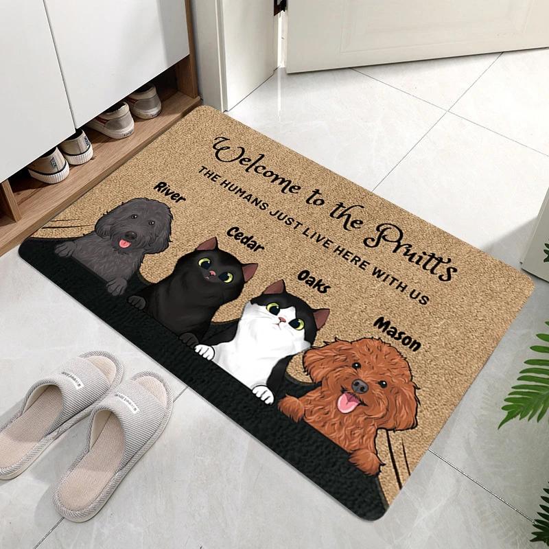 Funny Cute Cat Welcome Doormat Machine Washable Anti-slip Floor Mat Home Decor Living Room Bedroom Kitchen Entrance Foot Mats