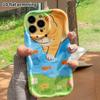 Phone Case: 2D Flat Design Suitable for iPhone 18 17 16 15 14 13 Pro Protective Case, Orange Cat Playing with Water, Perfect Christmas and Halloween H