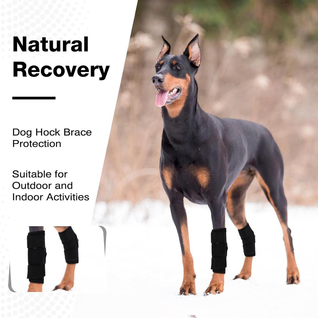 ROZKITCH Dog Leg Protector for Rear Hock Joint or Front Leg Knee, 1 Pair of Dog Leg Compression Wrap Sleeve for Anti Licking Carpal Support Ankle