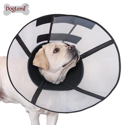 Köpek – Köpek bakım ürünleri
