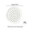 Deouxingguang Ceramic Multi-Hole Steaming Plate