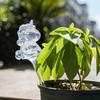 Automatic Flower Watering Balls Decorative Watering Spheres Indoor Outdoor Plants Self-Watering Solution