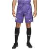 Nike Liverpool 23/24 Fußballtrainingshose mit Kordelzug und geradem Schnitt Herrenunterteile Lila DX9828-567