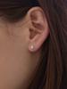 Paigeflynn [Silver 925] Moissanite Brill Stone Earrings