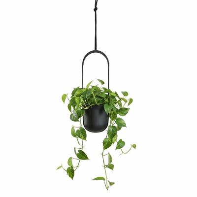 Závěsný květináč Aera Hang Recykling Antracit 17,9 cm