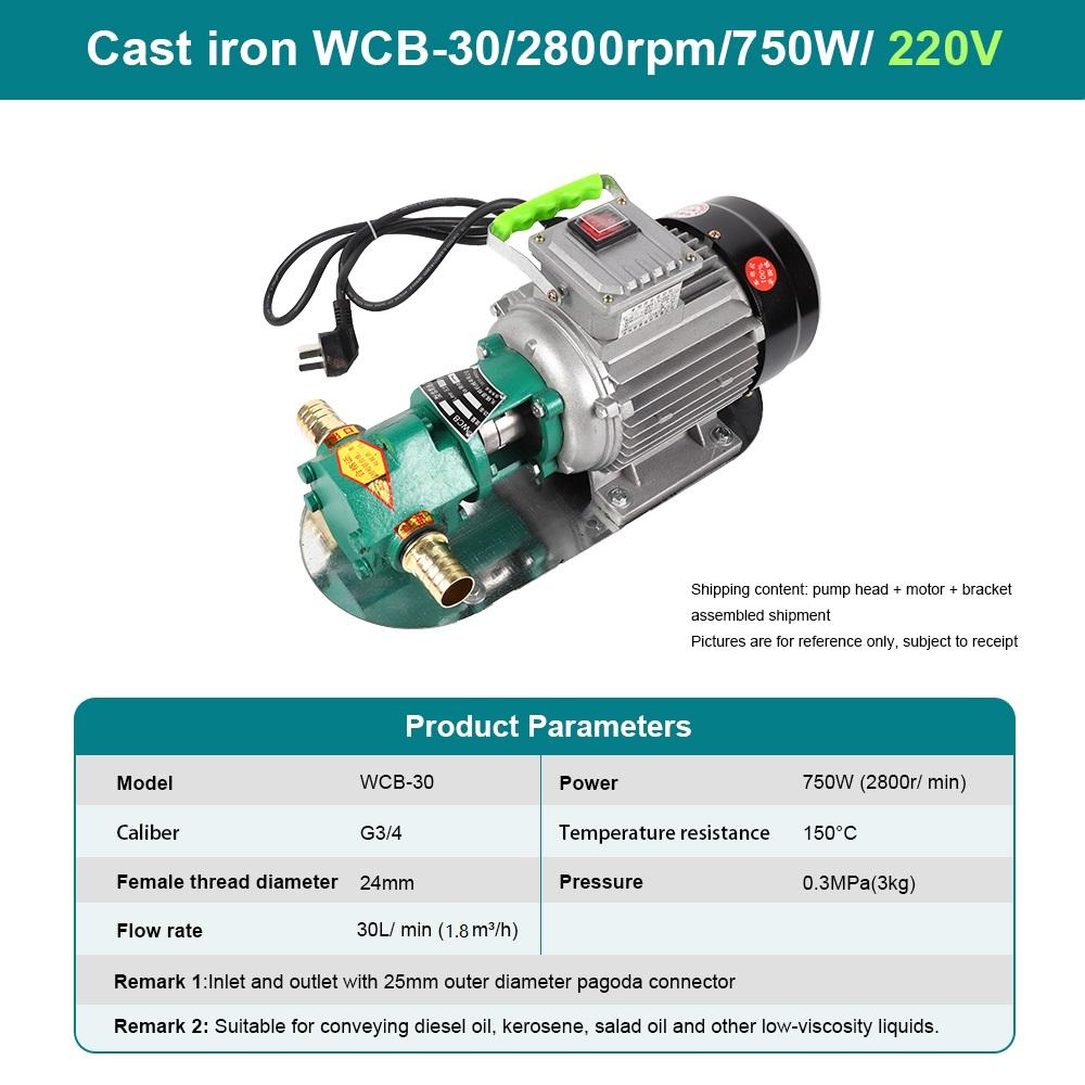 

Electric Gear Water Pumps Stainless Steel Pumps Portable Self-priming Suction Pumps Mini Diesel Pumps 220V