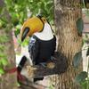 1 Pcs Bird Figurine Tree Hugger Decor Hanging Resin Ornaments Garden Statue Creative Simulation Animal Yard Wall Decoration