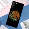Mexican Pride Eagle Flag Case For Samsung Galaxy S24 Ultra S21 S22 S23 S25 Ultra S9 S10 Plus S20 FE S25 FE Back Cover