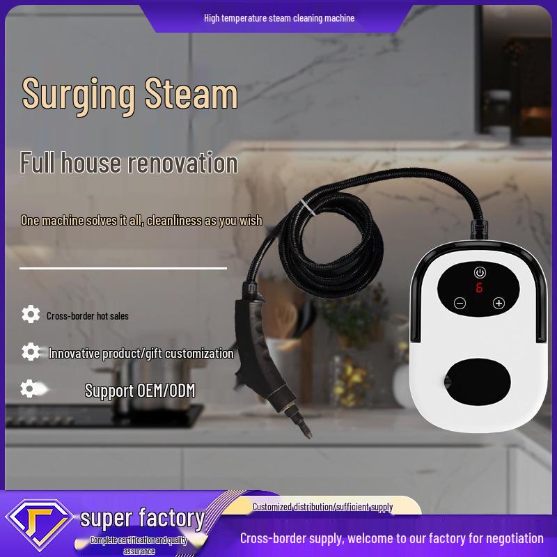 220V/110V High-Temp Steam Cleaner with LCD: Multifunctional Kitchen Cleaning Machine