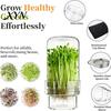 Pesticide-free Sprouts Kit Sprouting Jar Kit, Wide Mouth Glass with Sprout Lid, Blackout Enzyme-rich Sleeve, Plant Growing for Home Gardeners
