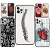 Medical Human Anatomy Phone Case For iPhone 12 Pro Max 13 Mini SE 2020 8 7 Plus 11 14 Pro Max X XS Max XR Cover