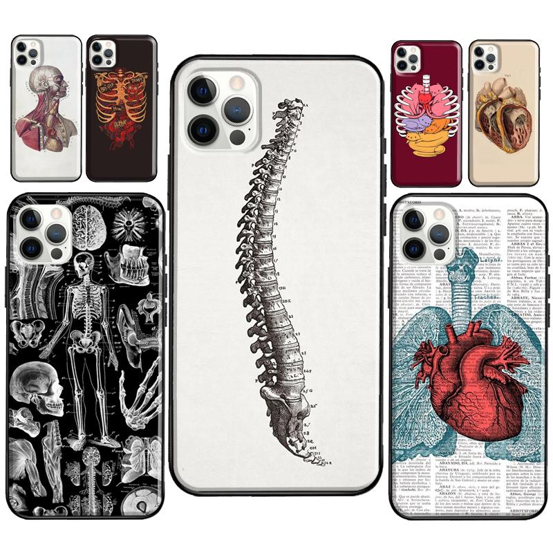 Medical Human Anatomy Phone Case For iPhone 12 Pro Max 13 Mini SE 2020 8 7 Plus 11 14 Pro Max X XS Max XR Cover