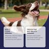Pet Oral Care Spray Freshens Pet Breath  Cleans Plaque And Yellow Teeth.100ml