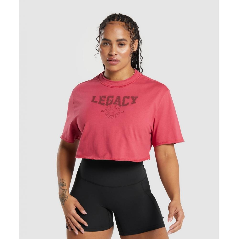 

GYMSHARK Legacy Укороченный топ с рисунком Винтаж Розовый B7A4U KB0V