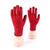 New Festival Festive Life Red Gloves Winter Warm Gloves Gloves Outdoor Riding Padded Gloves