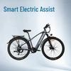 HedaTX TX1 Electric Mountain & City Commuter Bike with Hidden Battery