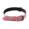 Engravable Microfiber Leather Dog Collar with Adjustable Anti-Lost Tag