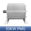 10KW 7 Speed Adjustable New Energy With 220V Motor With Frequency 20KW AC Permanent Magnet Generator Set 30KW Power Systems