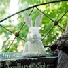 2pcs Rustic Wood Grain Finish Bust Rabbit Resin Statues, Farmhouse Decorative Animal Sculptures For Garden And Balcony