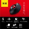 SANWA SUPPLY Kabelloser Ergo Trackball MA-WTB178BK