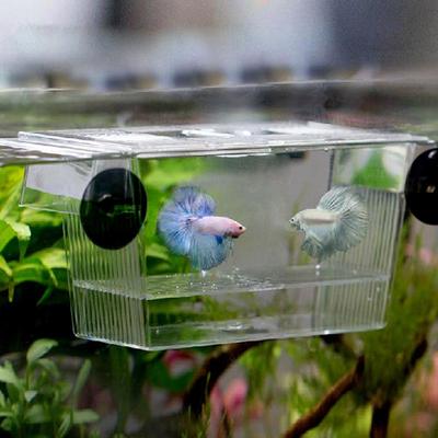 Fish Tank Isolation Box Aquarium Juvenile Fish Acrylic Breeding Incubator Holder Fish Breeding Isolation Aquarium Hatchery