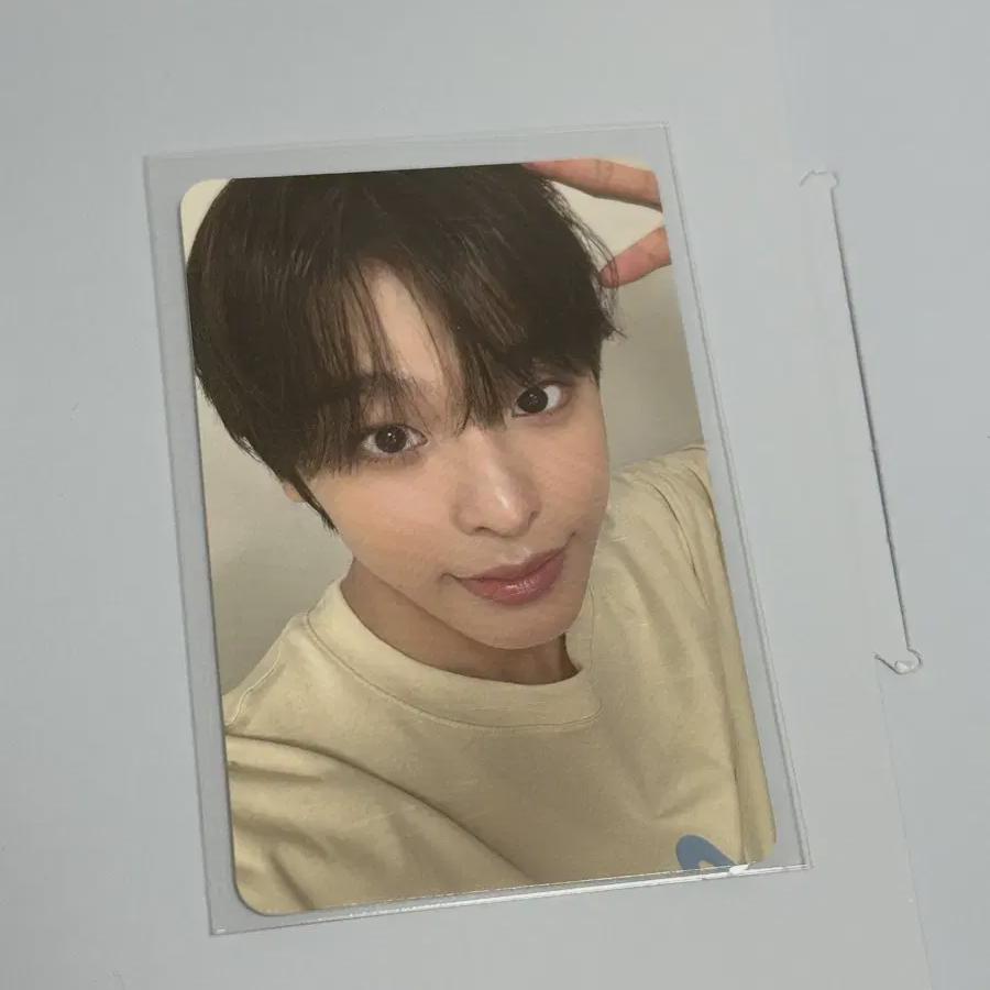 

Ncitywish Steady Popup Store 50,000 Won Bonus Riku Shipping Included