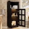Black Corner Cabinet with Lacquer Finish & LED Lighting – Corner Dresser with App Control, for Living Room, Bookshelf, Bathroom (63.5*124 cm, Black)