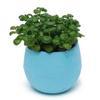 Plastic Flower Pot With Drainage Holes For Indoor Garden And Outdoor Planting