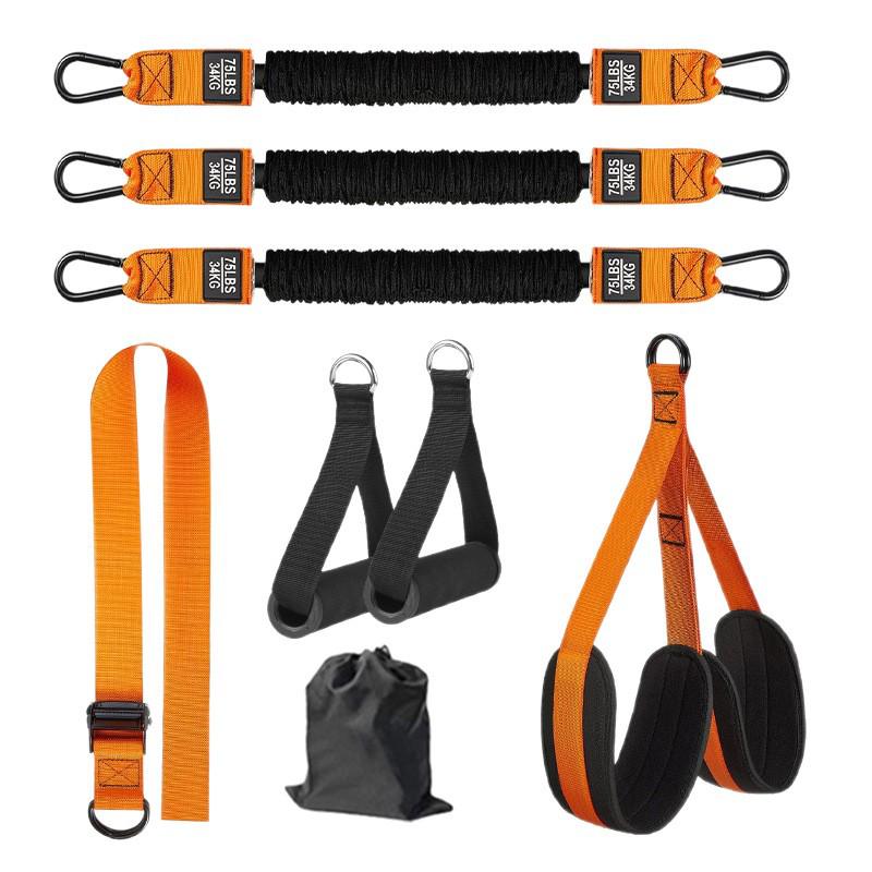 Pull-up Assist Resistance Band for Indoor Fitness and Exercise