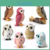 Dier Hars Miniatuur Uil Vogel Model Decor Beeld Voor Thuis- En Kantoorweergave