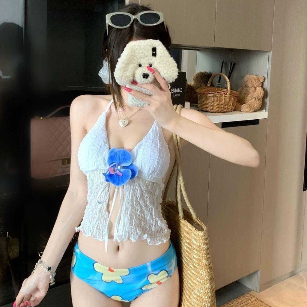 Vintage Bikini Swimsuit Women's Hot Spring Three-piece Bikini Gather Small Breasts Swimsuit High Sense Sexy Pure Desire