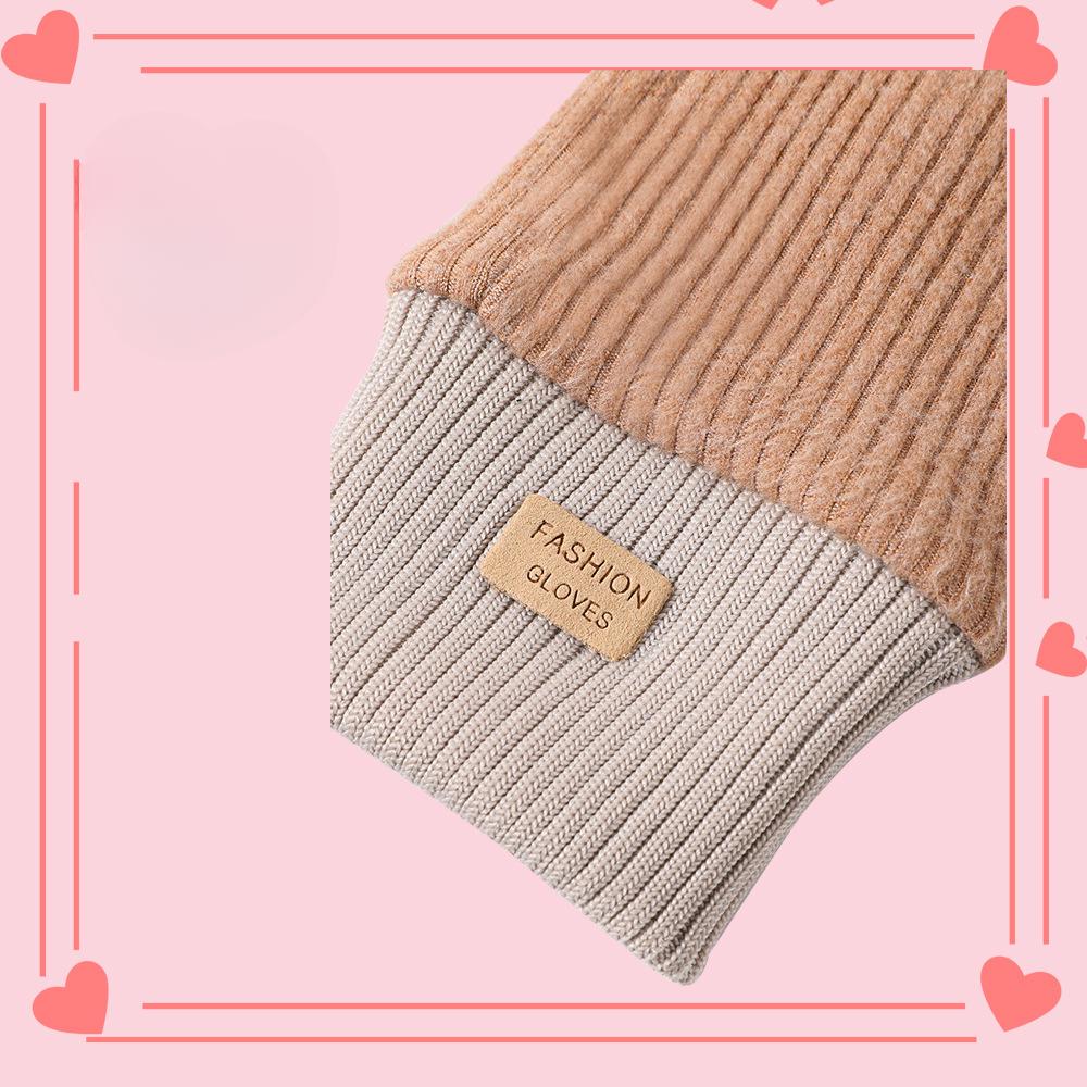 Women's Warm Gloves Touch Screen Wind proof and Cold Riding Korean Version Cute Student Plus Velvet Thickened Autumn and Winter Gloves