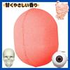 Set of 5 Gakken Illustrated Live Human Body Bath Balls with Thank You Includes a Mascot and Perfect for Bath Carbonated Bath and a Mini Illustrated