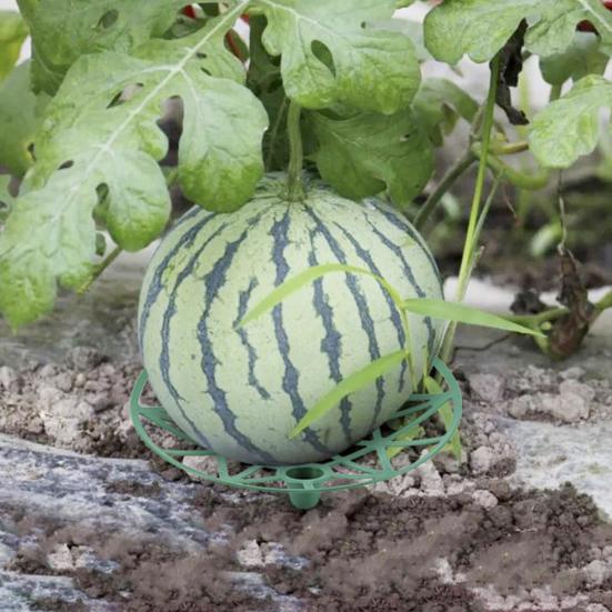 

12 Pcs Melon Cradle Reusable Pumpkin Stand Watermelon Support Holder Melon Tray with Raised Feet Keep Fruit синій
