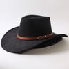 Popular European and American Classic Big-brimmed Western Cowboy Hat Men's and Women's Outdoor Fashion Anti-sun Cowboy Hat Jazz Hat