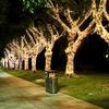 HEIXIE Outdoor Purple LED String Lights