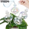 4pcs Self Watering Planter Insert Plant Watering Devices Plant Watering Bulbs Plant Watering Globes Rainbow Colors Cactus Shape Self Watering Globes