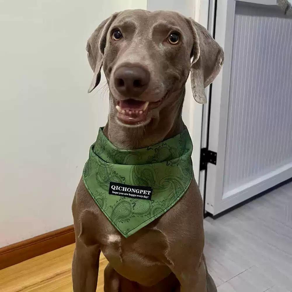 Haustier Dreieck Halstuch für Hunde und Katzen Modisches Accessoire für Große Rassen Labrador Sabbertuch Haustier Zubehör