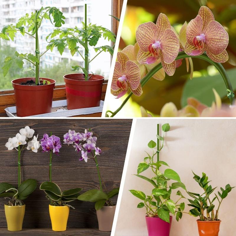 Plant Support Stakes with Orchid Clips Ties Bendable Single Stem Support Rods Holder Sticks for Potted Plants Flowers Vegetables