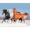Frameless Digital Oil Painting for Entrance Hall - 40x50 Pigment Kit.