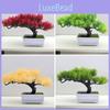 Pinus Zucc Bungeana Artificial Bonsai Potted Plant For Home Decor Projects