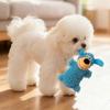 Dog Chew Toys with Squeaker Puppy Toys for Small Animals Pet Puppy Teething