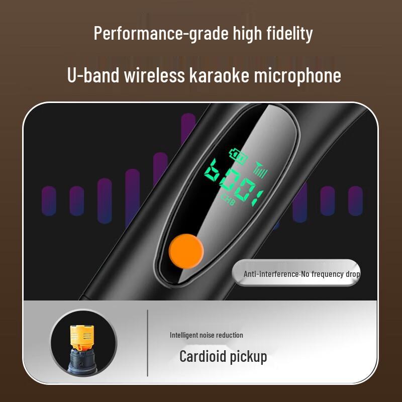 Soaiy SA-205 Home KTV Bluetooth Audio System