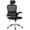 Mesh Back Office Chair, with Lumbar Support - Black