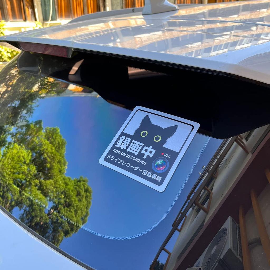 Decoyocar Car Recorder Sticker, Square, 5.1 X 5.1 Inches (13 X 13 Cm), Black