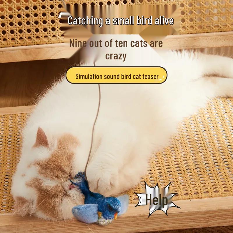 Kätzchen Zahnen Feder Reizspielzeug - Kratzfest & Selbstbeschäftigung Langeweile Vertreibung