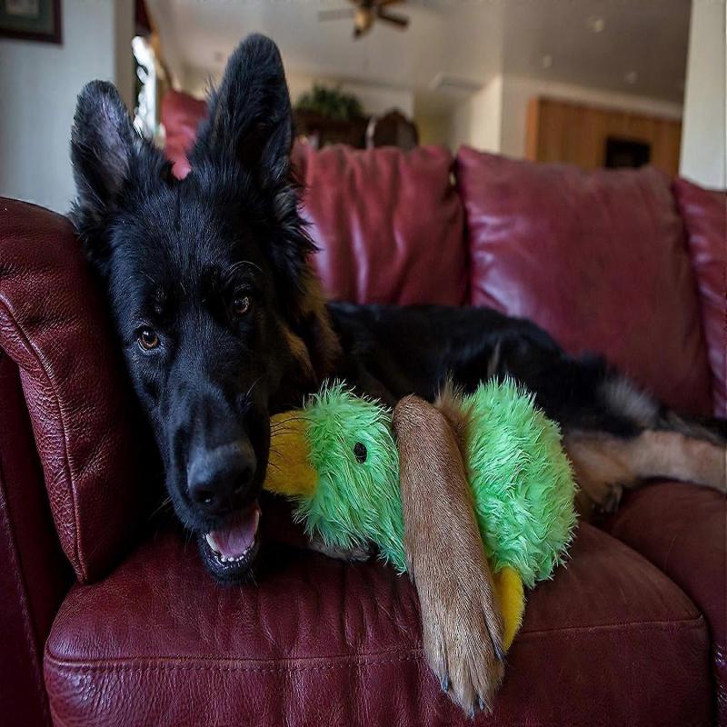 Plüschhundespielzeug - Verschiedene Farben