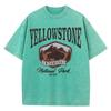 Women's and Men's Washed Cotton T-shirt Full Math Round Neck Short Sleeve Yellowstone Park Buffalo Print Top