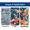 Peixes e animais aquáticos – Manutenção de aquário
