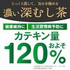 Arahataen Rich Deep Steeping Tea Pack Green Bag 2g51 pieces Shizuoka Cold Brew